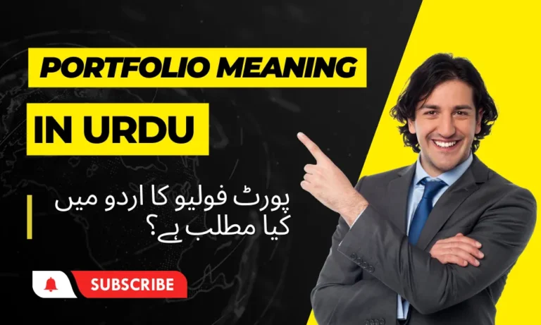Portfolio Meaning in Urdu & Definition