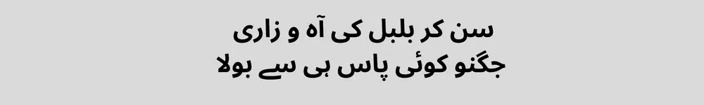 Allama Iqbal poetry-19